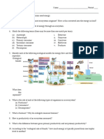 Energy Flow Worksheet