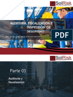 Auditoria - Fiscalizacion - e - Inspeccion - de Seguridad