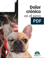 Dolor Cronico Perro