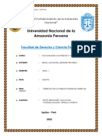 DERECHOS DE LOS PUEBLOS INDIGENAS SOBRE SUS TIERRAS (GRUPO 7) - Gioconda Reyes Hernàndez y Ornella Vàsquez Salazar-1