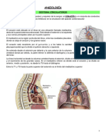 ANGIOLOGÍA