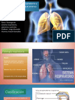 Sistema Respiratorio y Entrenamiento