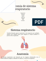 Sistema Respiratorio