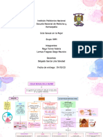 Mapa Conceptual Del Ciclo Sexual en La Mujer