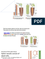 Transportation in Plants