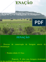 Fenação