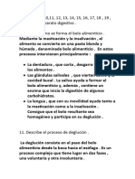 Documento