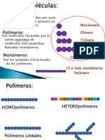 Proteinas 2.3print