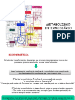 Metabolismo Intermediário