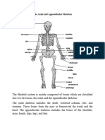 Skeletal System Lesson