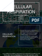 Q2 L4 Science 9 Cellular Respiration