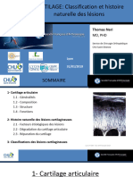 Classification Lésions Condrales