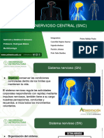 Sistema Nervioso Central