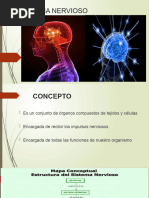 Sistema Nervioso Autonomo