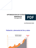 Optimizacion en Flotacion