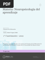 Uba Ffyl P 2021 Edu Neuropsicologia Del Aprendizaje