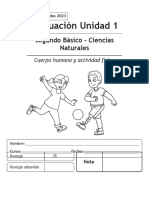 Evaluacion 2 Basico Unidad 1 Ciencias Naturales - Ver - 2