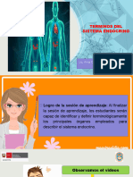 Terminos Del Sistema Endocrino Sem 14