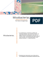 Mico Bacterias