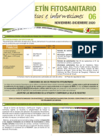 Boletin #6 Noviembre-Diciembre de 2020