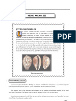 III Bim - 5to. Año - Bio - Guía 3 - Reino Animal III