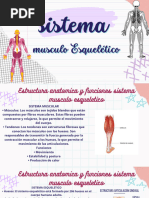 Sistema Musculo Esqueletico - 20231113 - 041019 - 0000