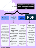 Mapa Conceptual Perdida Auditiva Adquirida