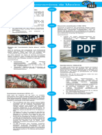 Modelos Economicos de Mexico (1925-2023)