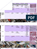 Organos Endocrinos