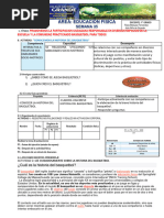 Semana 35-Ed - Fis-1°grado-2023