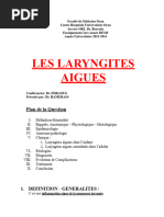 Laryngite Aigue