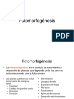 Fisiología Del Desarrollo Fotomorfogénesis