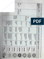 Peatland Classification