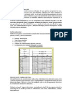 Rayos Gamma Registro