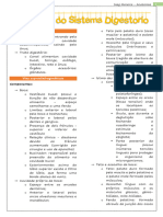 Anatomia - Sistema Digestório