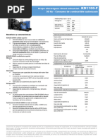 PDF Documento