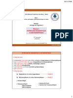 Cours Pétrologie Magmatique