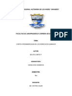 Constitucionalizacion de Los D. H en Ecuador