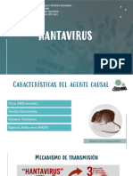 HANTAVIRUS