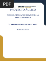 Proyecto Áulico Neuroaprendizaje