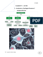 Unidad N 8 Biologia 12 Grado Anatomia y Fisiologia Humana 5