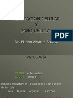 PATOLOGIA-Clase N°1-Adaptación y Lesión Celular