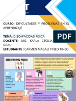 Organizador Grafico Proyecto Moderno Multicolor