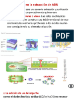 ARNTranscripción1