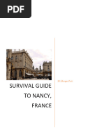 Guide To Survivng Nancy France