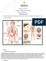 Guia No 6 - Sistema - Endocrino