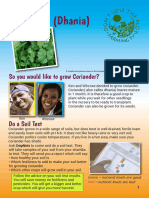 DLTP Booklet Coriander FINAL 0TIznpe