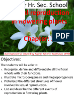 Biology CL 12 - Chapter 2. Sexual Reproduction in Flowering Plants