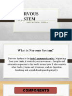 Anaphy PPT - Nervous System