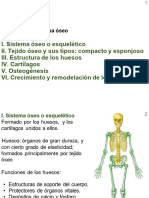 2023 T02 Sistema Oseo